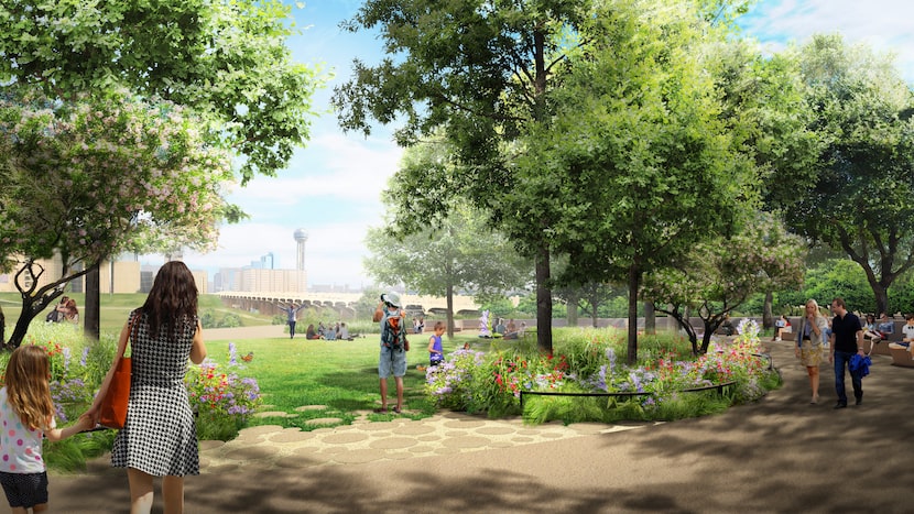 Among the features of Harold Simmons Park's first phase is a lawn on the west side of the...