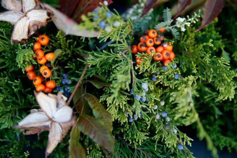 
Orange pyracantha berries, dried-in-the-field cotton bolls (minus the white cotton) and...