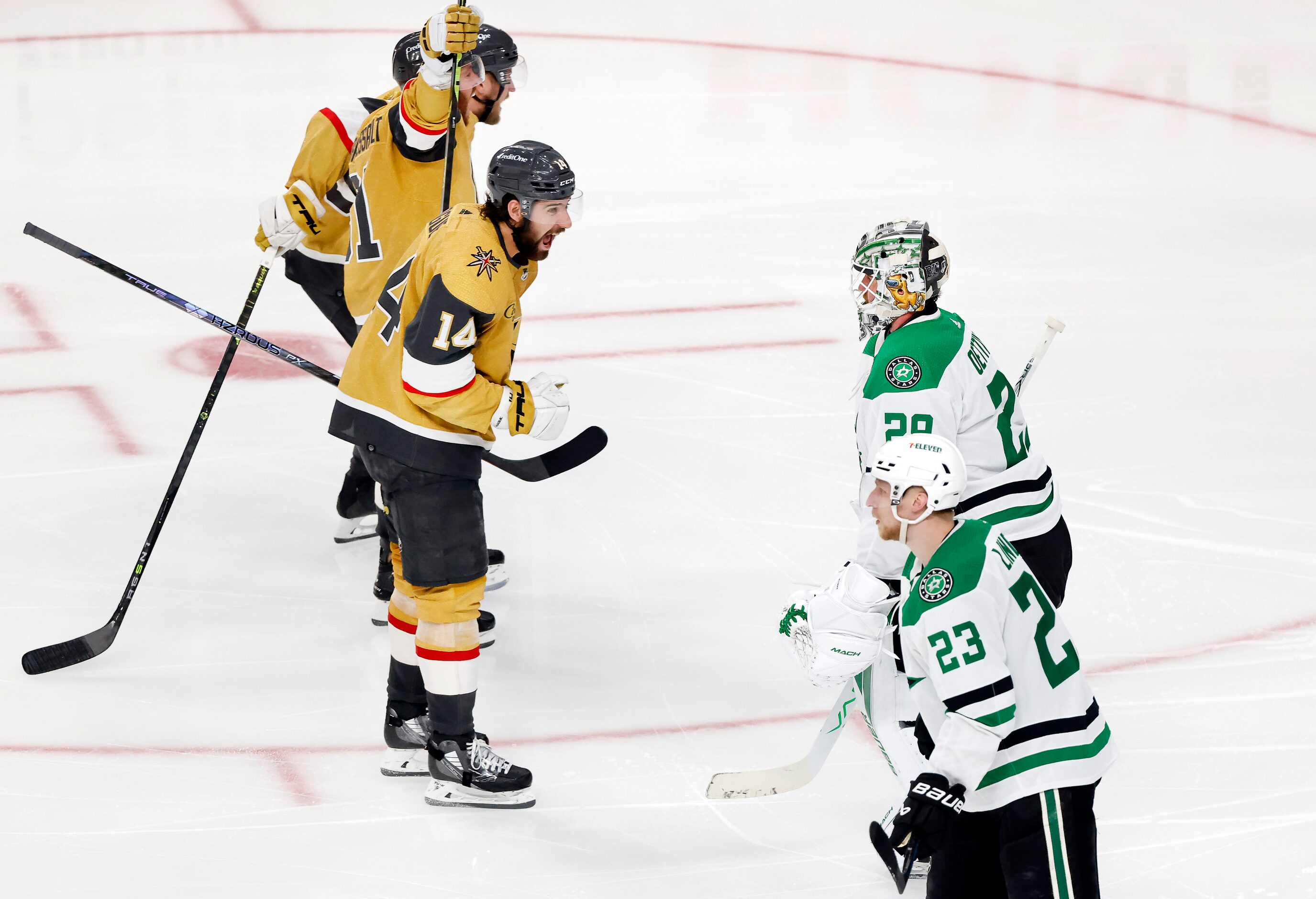 Vegas Golden Knights defenseman Nicolas Hague (14) and his teammates celebrate their...