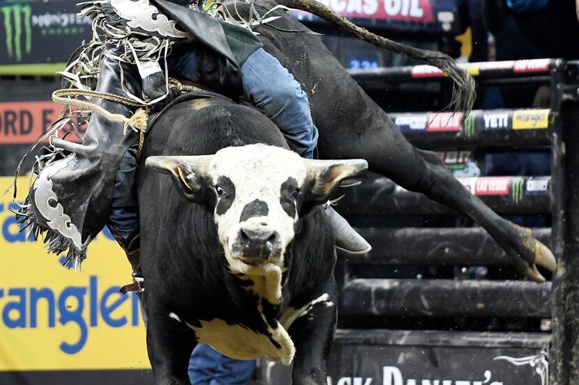 Nathan Burtenshaw rides a bull then known as The Punisher during the PBR Unleash the Beast...