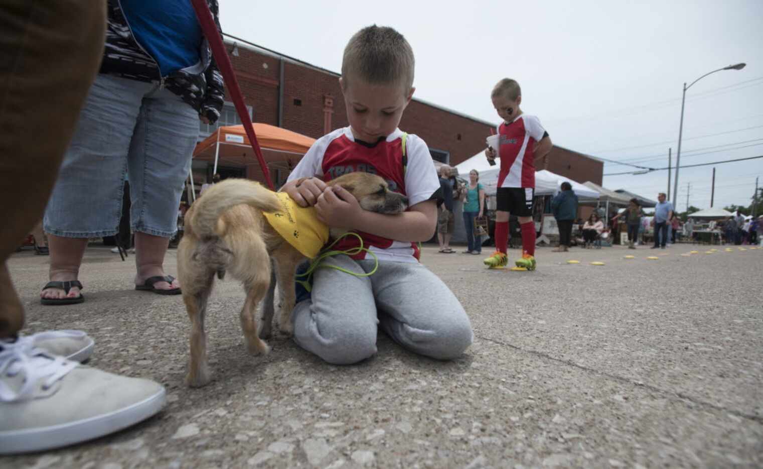 Logan Fratar, 5, pets Buster, a rescue dog from Garland Pawsibilities, at The Urban Flea in...