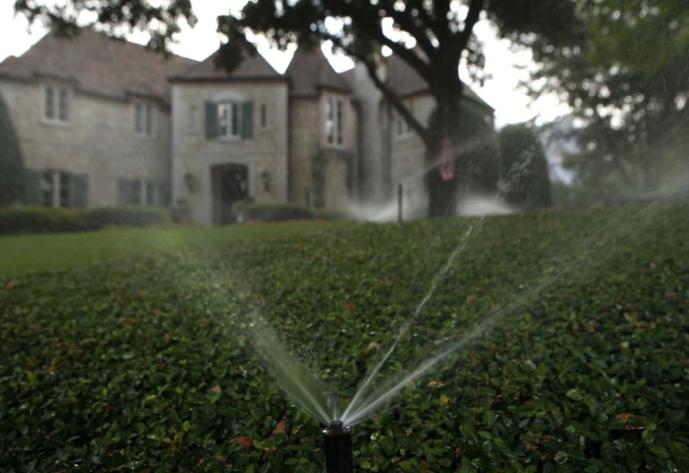 Sprinklers water the foliage in front of a house in the 3900 block of Euclid Ave. in...