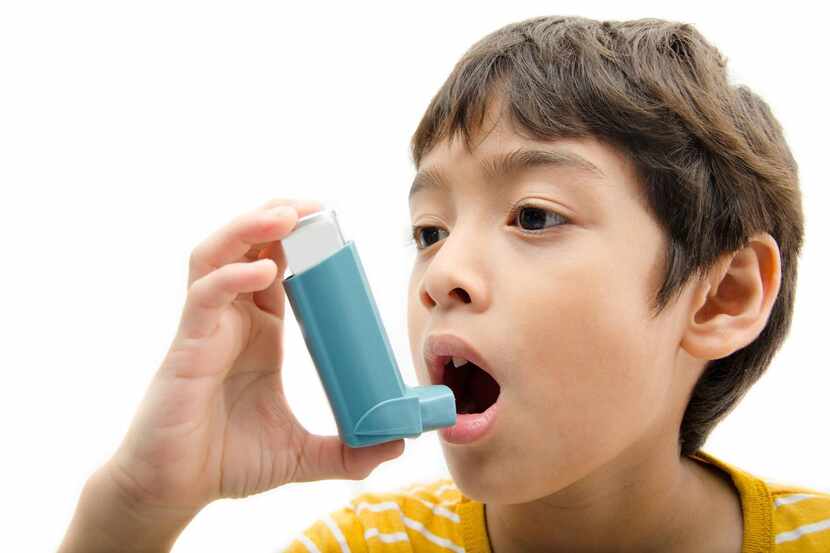 El moho y ácaros pueden desatar ataques de asma en niños. Esta es una condición de riesgo en...