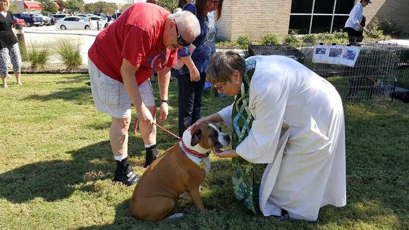 Rockwall Pets will be at Sunday's blessing of the animals at First Presbyterian Church of...