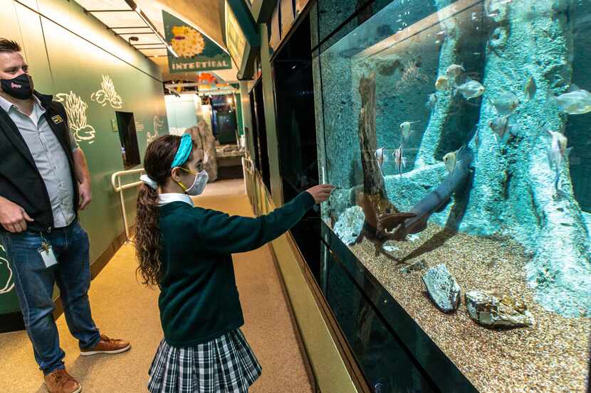 Matt James (left), Dallas Zoo senior director of animal care, gave a tour to Margeaux...