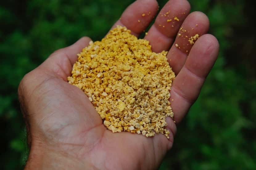 Corn gluten meal in granular form is cleaner but less effective for controlling weeds. 