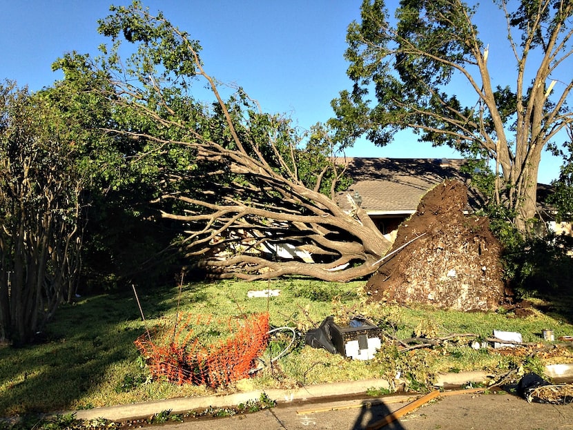 Scenes like this one, along Epping Lane, were commonplace throughout northwest Dallas.