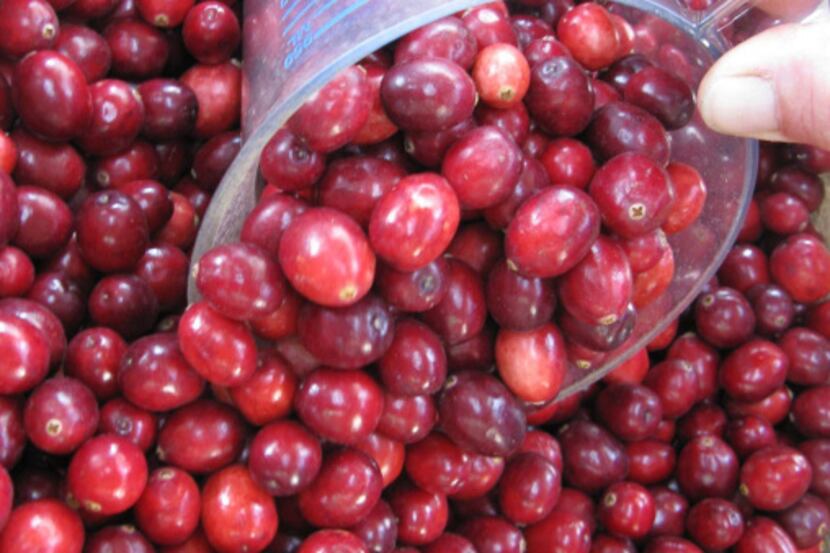 Cranberries make their debut in the fall and are featured at Thanksgiving dinners, but are...