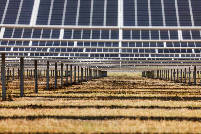 Lily Solar in Scurry, Texas, opened in 2022. New solar plants are being built at...