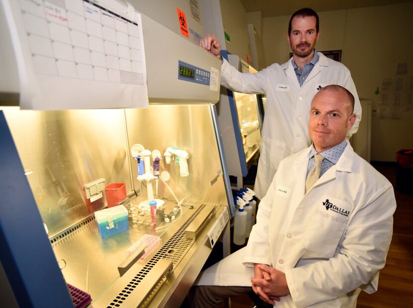 University of Texas at Dallas associate professors Ted Price (seated) and Greg Dussor are...