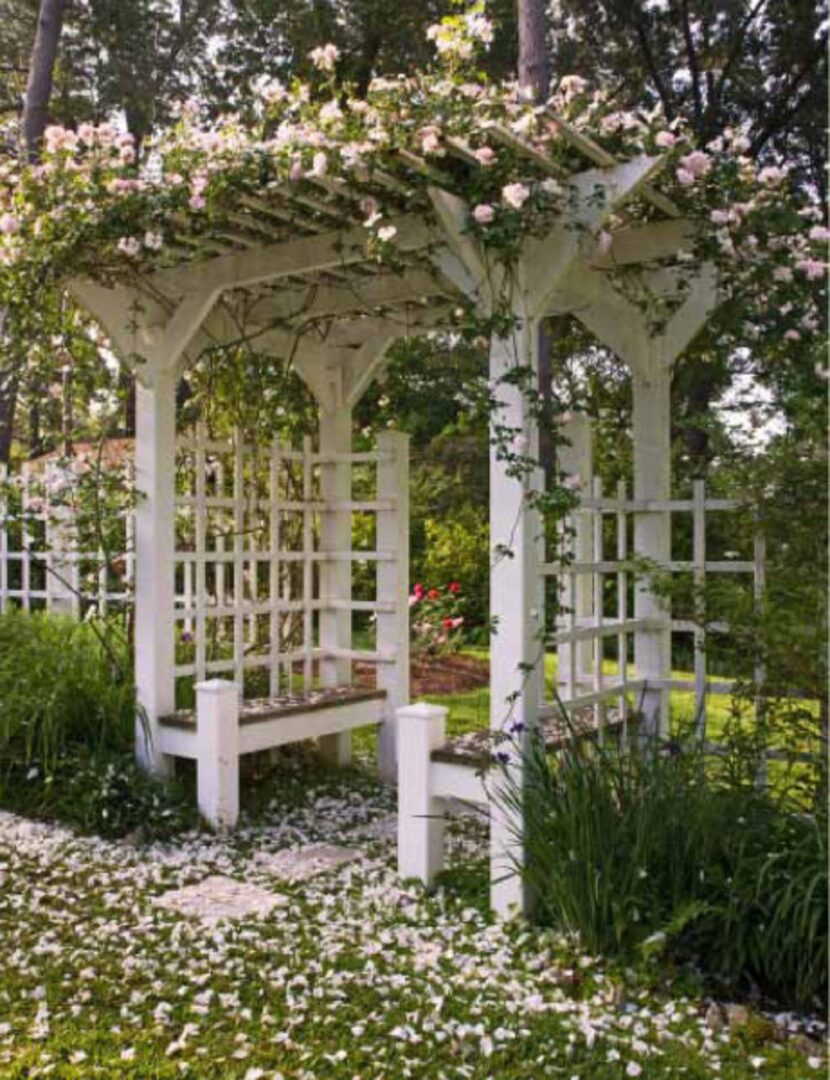 Pergolas act as structure for climbing plants but also are gateways dividing garden rooms.