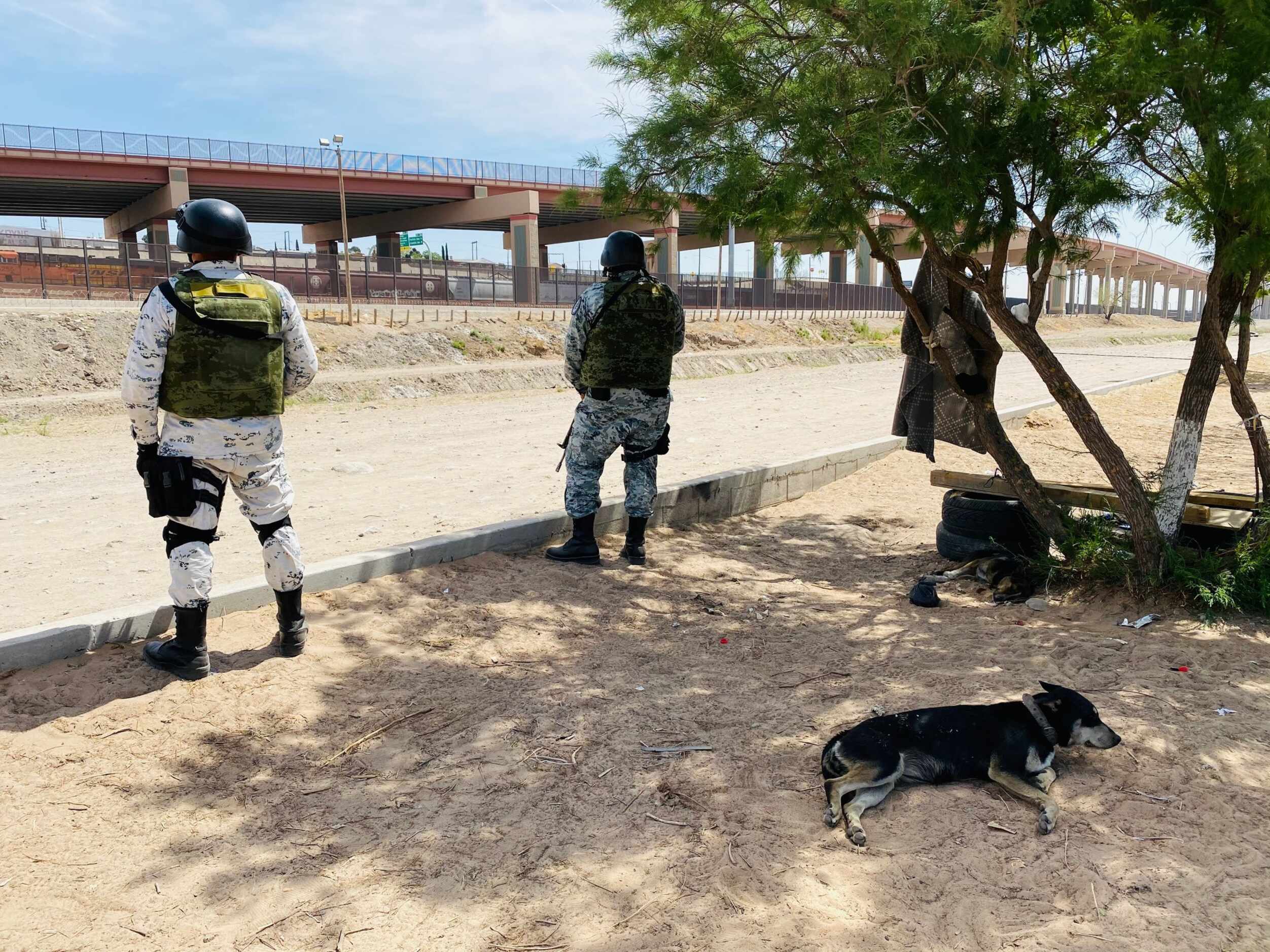 Guardia Nacional de México ayuda en la estrategia de Estados Unidos para  detener flujo de migrantes