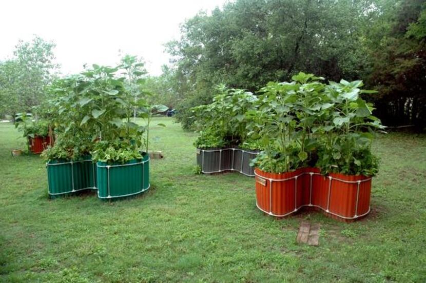 
Keyholefarm.com in Bosque County, southwest of Dallas, makes keyhole gardening easier by...