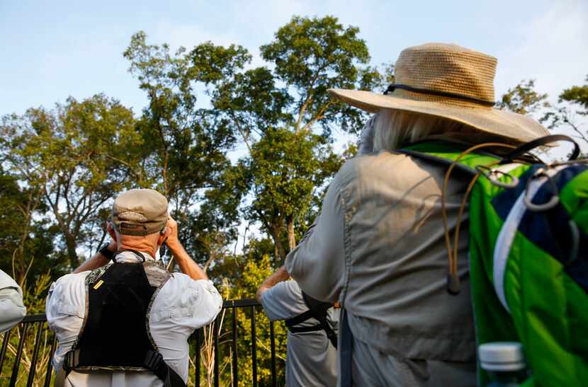 Members of the Prairie and Timbers Audubon Society Chapter of McKinney scan the trees for...