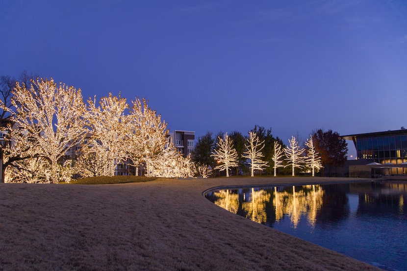 The Modern Art Museum of Fort Worth and its tree-dotted grounds will be illuminated for the...