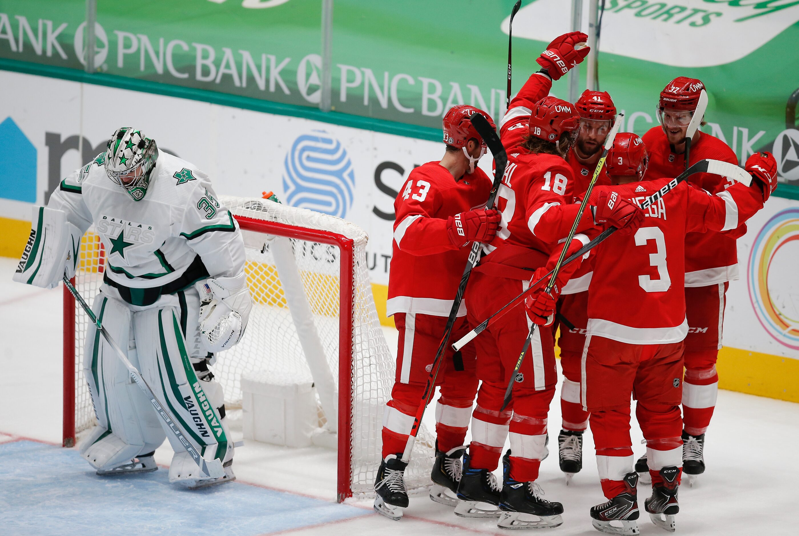 Dallas Stars goaltender Anton Khudobin (35) looks on as Detroit Red Wings forward Luke...