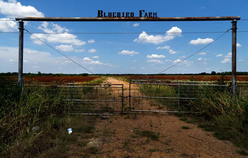 The Bluebird Farm entrance is pictured along Belt Line Road in Wilmer.