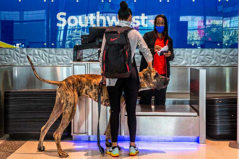Southwest Airlines employee Ericka Thompson appeared to not know what to think in early...