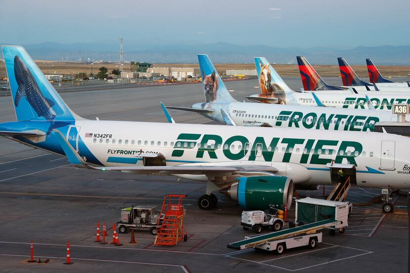 Frontier Airlines jets sit at gates at Denver International Airport in 2019 in Denver.