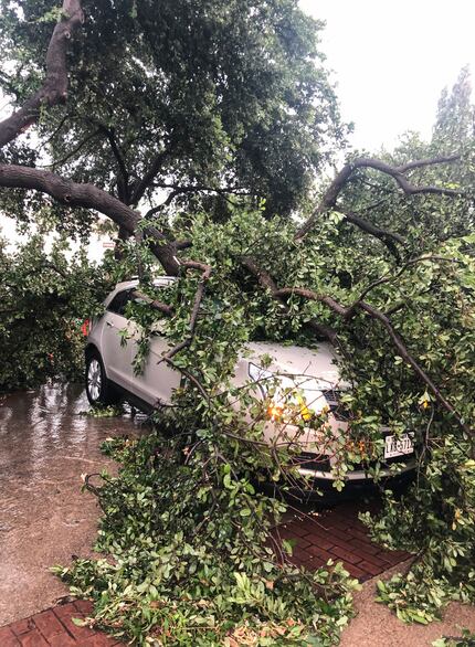 A downed tree branch sits on a car Sunday, June 9, 2019, outside Lowkey Poke Joint, where...