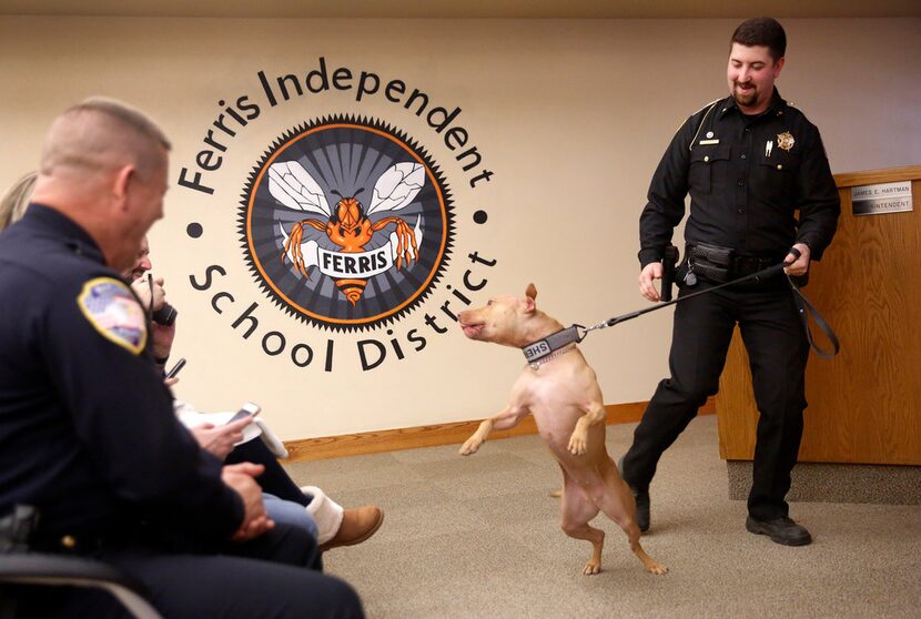 Franklin County (Ark.) sheriff's Deputy Brandon Chancey tries to control his new and excited...