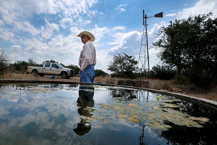 
Lifelong rancher Ron Crocker, who owns and runs CA Cattle Company outside of Mason, Texas,...