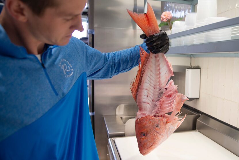 Rex's Seafood owner Beau Bellomy holds bones of a red snapper at Rex's Seafood in Dallas on...