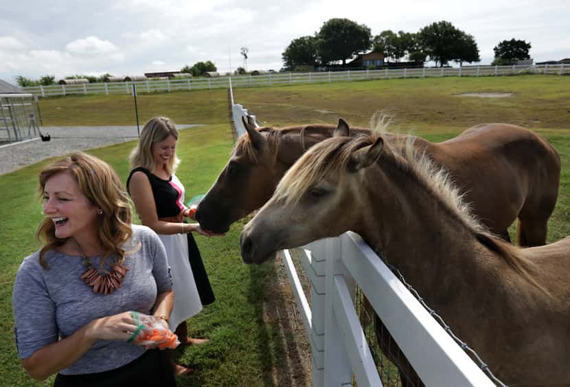 Shannon McLinden (left) and Delia McLinden take a break from work to feed some horses at...