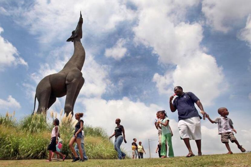 
Life will soon get a little more lively for the giraffe statue at the Dallas Zoo’s...