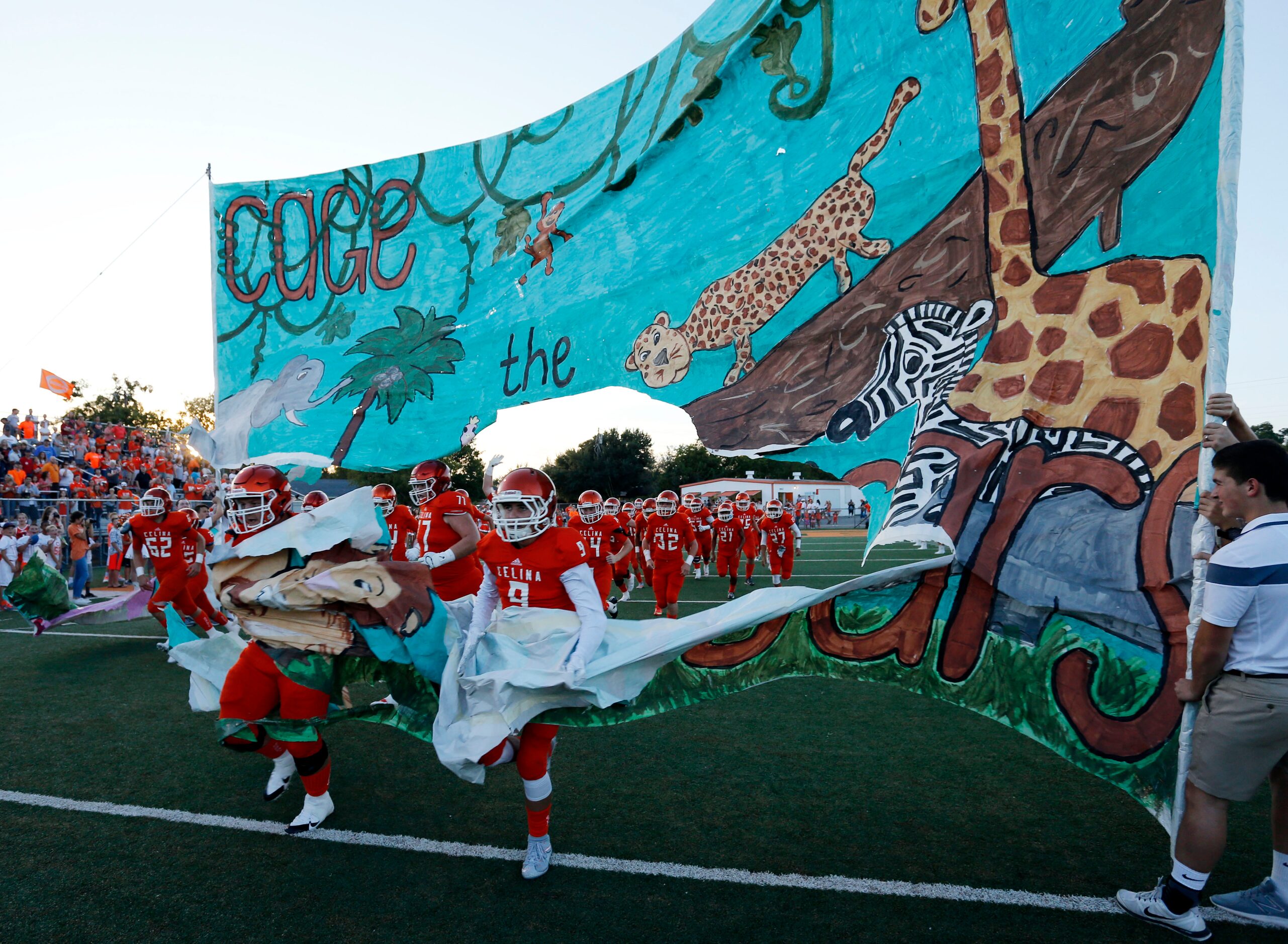 (TXHSFB) The Celina High Bobcats tear through a banner, as the enter the field before the...