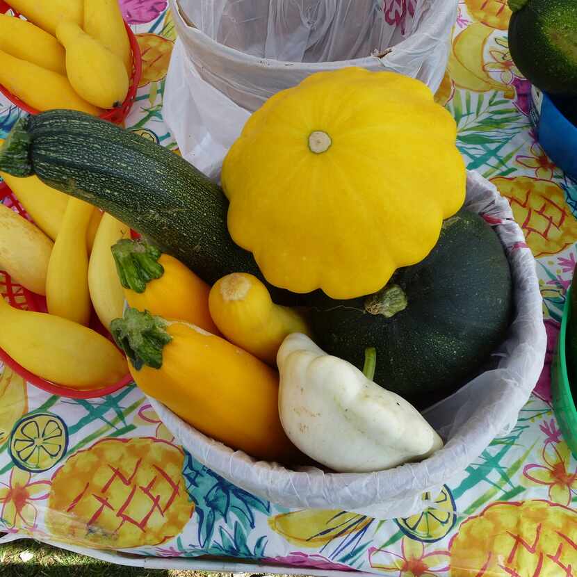 Farmer J.T. Lemley grows seven kinds of squash, which you can buy separately or in a basket...