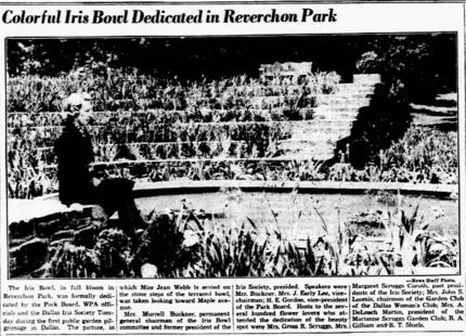 Photograph of the newly minted Iris Bowl, published in The Dallas Morning News on April 20,...