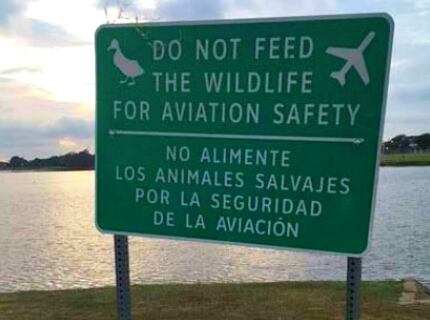 The signs around Bachman Lake would be updated to say it's illegal to feed the wildlife.