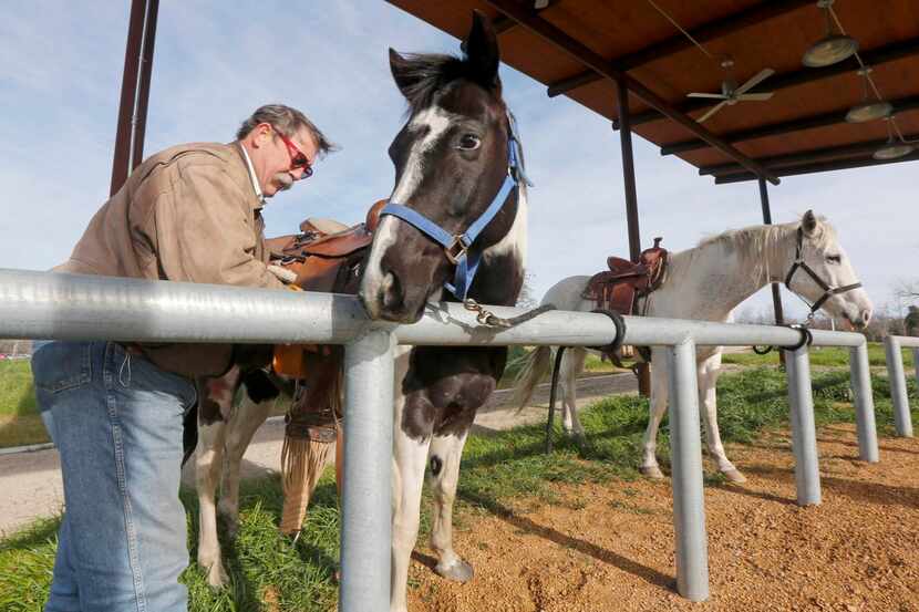 
Barnes Davis saddles up Jedi and Pepper at the horse park. Mayor Mike Rawlings hailed the...