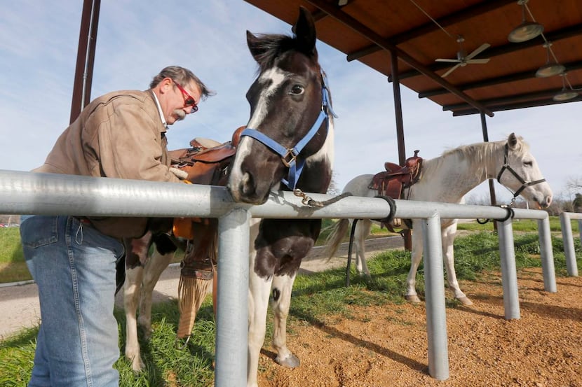 
Barnes Davis saddles up Jedi and Pepper at the horse park. Mayor Mike Rawlings hailed the...