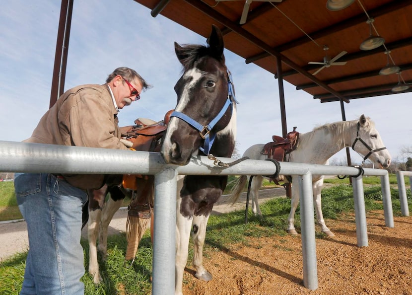 
Barnes Davis saddles up Jedi and Pepper at the horse park. Mayor Mike Rawlings hailed the...