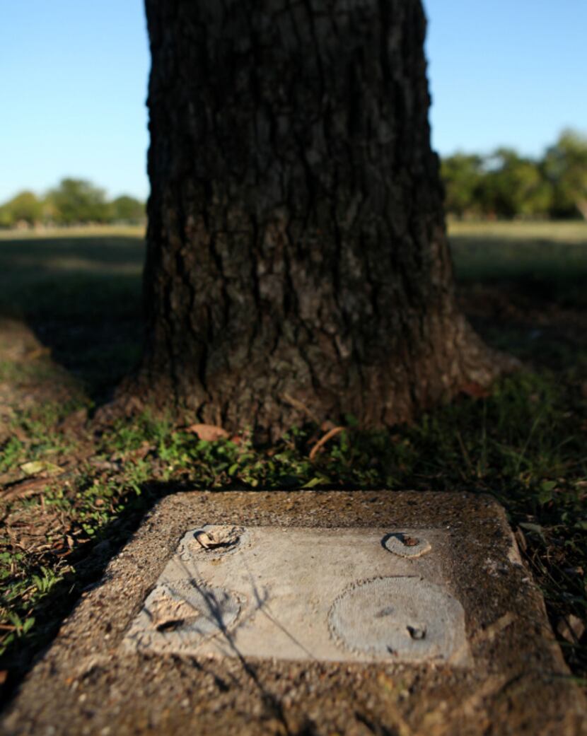 A plaque removed from its base rests next to an old pecan tree in Kiest Park in Dallas on...