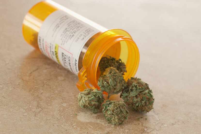 Medical marijuana in a prescription bottle.