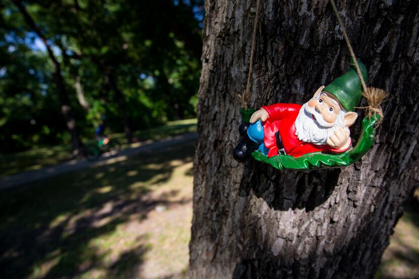 Garden gnomes placed along Coombs Creek Trail in the Stevens Park neighborhood on Aug. 22,...