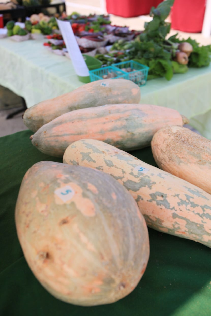 Butternut squash from Good Earth Organic Farms being sold at White Rock Local Market, on...