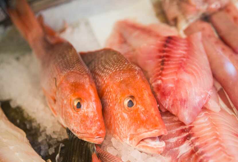 Two whole red snappers are on display among other fish at Sea Breeze Fish Market in Plano. 