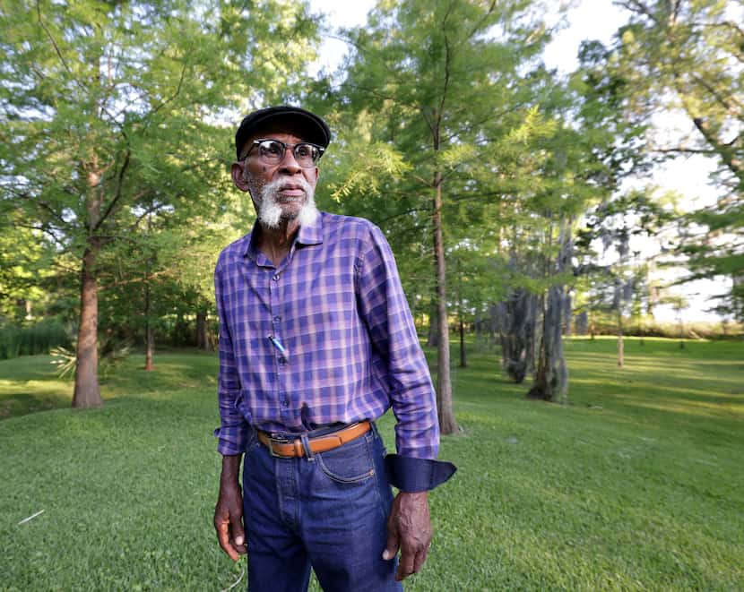 C. Jai Wright stands near some of the trees he planted at Shannon Wynne's Caddo Lake property. 