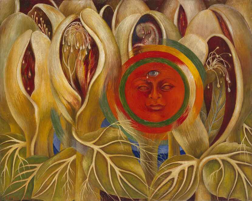 Frida Kahlo, "Sun and Life," 1947, oil on masonite, Private Collection, Courtesy Galer a...