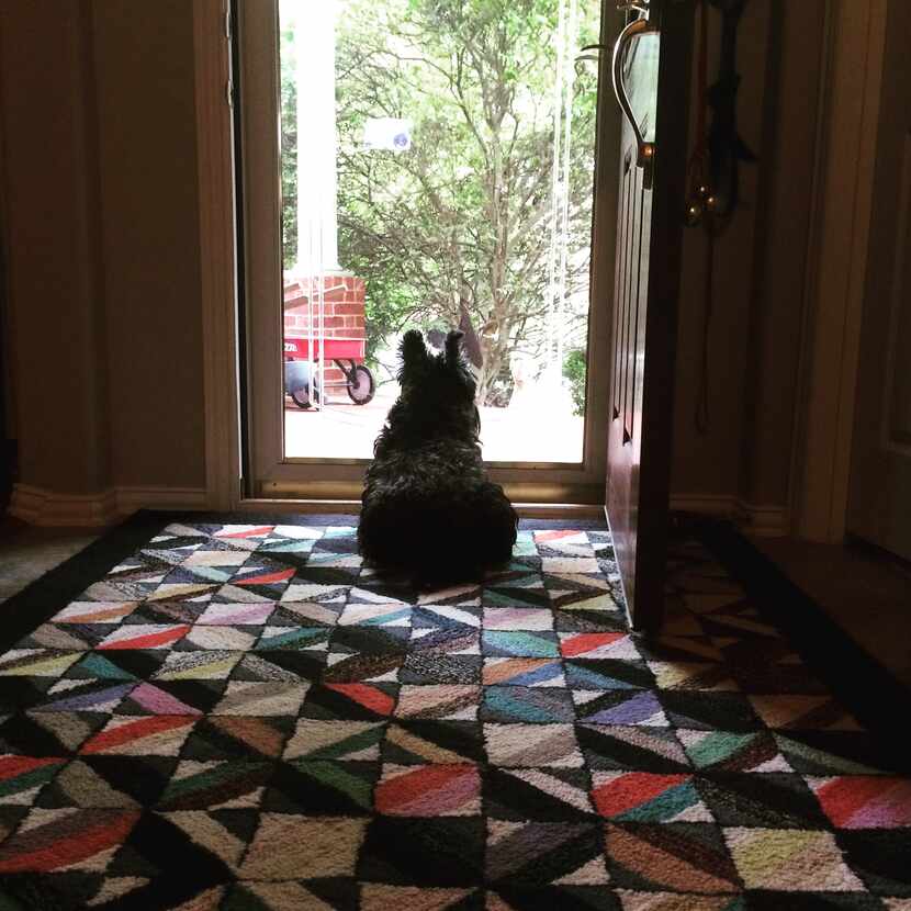 Margie stands guard at the door.