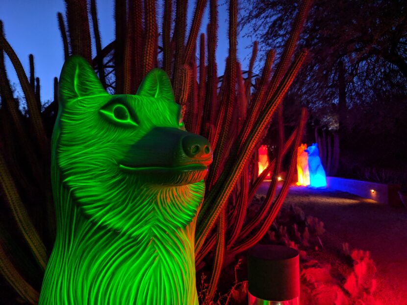 At Phoenix’s Desert Botanical Garden, hundreds of oversized animal sculptures made of...