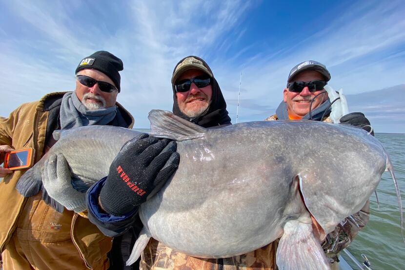 Kenny Quiett of Delia, Kansas (center) with the 80-pound blue catfish he landed on Feb. 15...