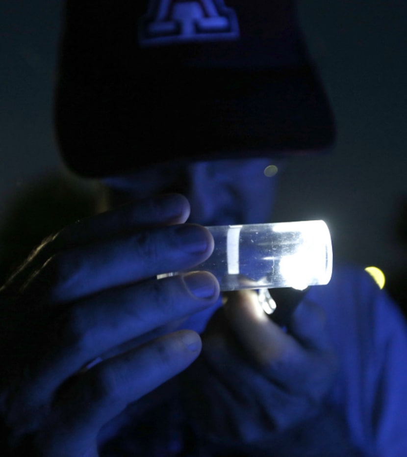 Illuminated by a black light, Texas Discovery Gardens entomologist John Watts gets a close...