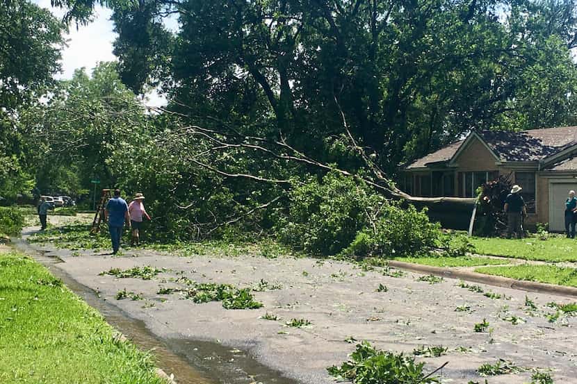 Large trees came down at Kilarney and Tranquilla, east of White Rock Lake in the East Dallas...