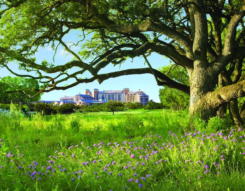 The JW Marriott San Antonio Hill Country Resort & Spa is offering a couples' spa retreat...