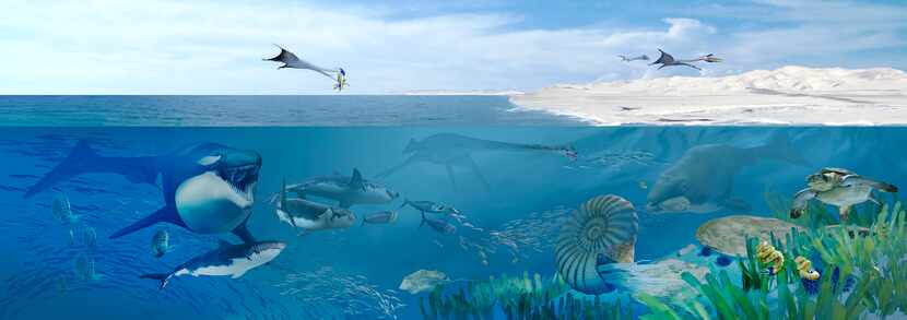 An artist's rendering of Angola's Cretaceous seas 72 million years ago, dominated by...